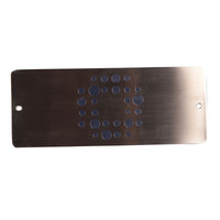 Vortex / O2 Spas Neon S/Steel Water Feature Plate