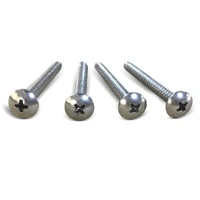 Round Head SS Spa Cabinet Screws (pkt 20)