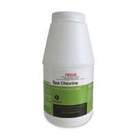 Spa Chlorine Sanitiser 1kg Spa Store