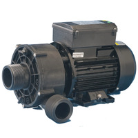 Jacuzzi® Pump for JLX, J-300, J400, J500