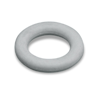 Jacuzzi® Temperature Sensor O-Ring