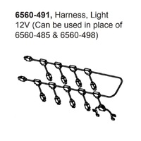 Jacuzzi® J-400™ 12V Light Harness