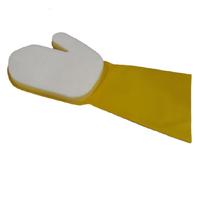 Rubber Glove Cleaning Pad 