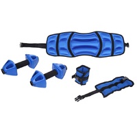 Swim Spa Water Resistance Fitness Kit
