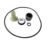 Balboa® Pump Seal Kit