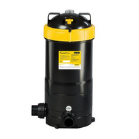 Davey CrystalClear 150sqft Cartridge Filter