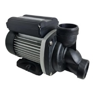 Edgetec Midjet .22kw Spa Circ Pump