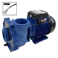 Aqua-Flo®  XP2 2.5Hp/2-Sp Booster Pump