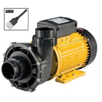 Davey Spa Quip® QB Series 3Hp/2-Sp Jet Pump (Fine Thread) 