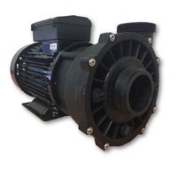 SpaNet®  JetMaster 3.0hp 2-Sp Pump