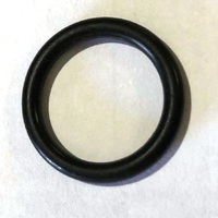 Waterway® Filter Lid Air Bleed O-Ring 