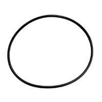 Waterway® Filter Lid O-Ring